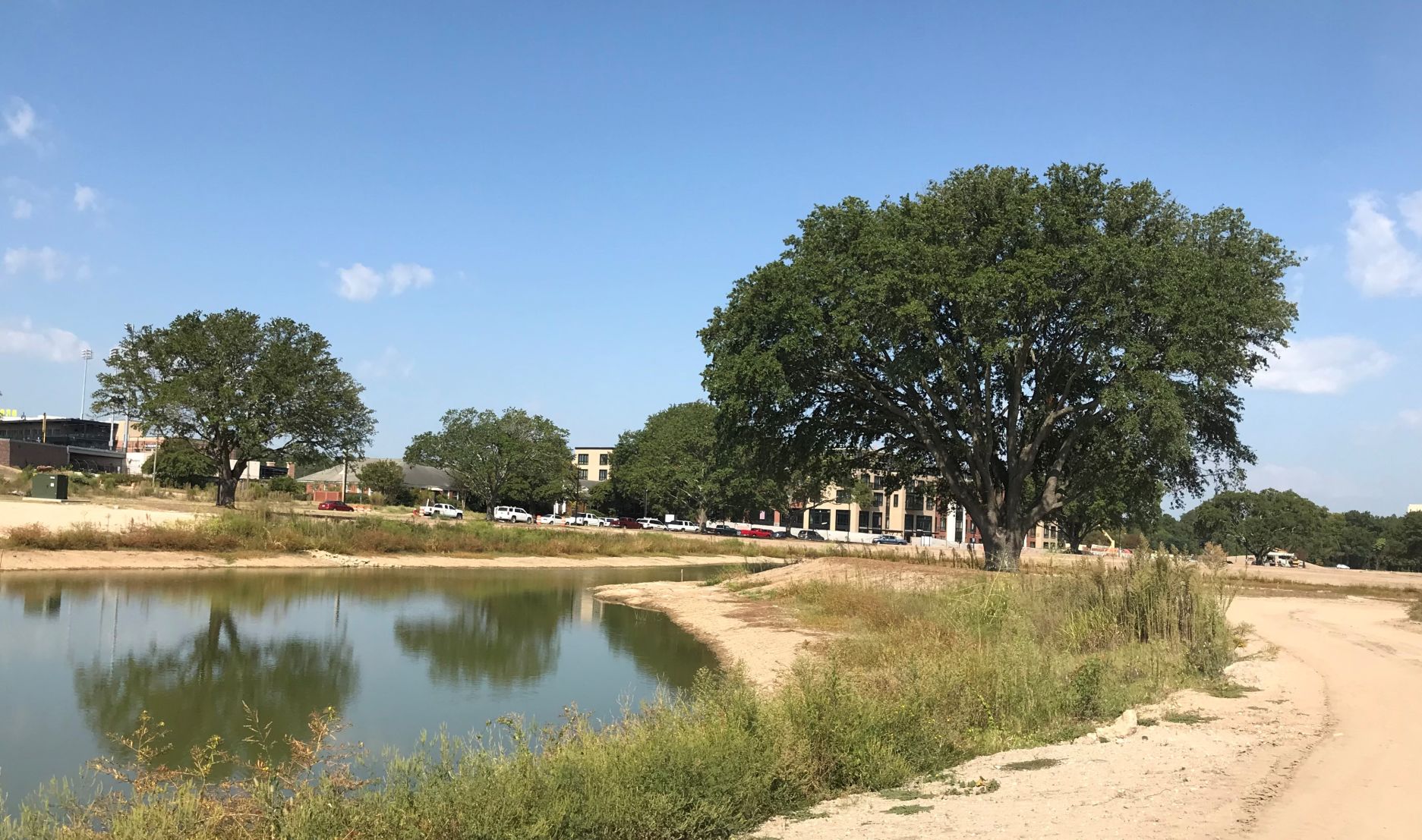Pond at BullStreet